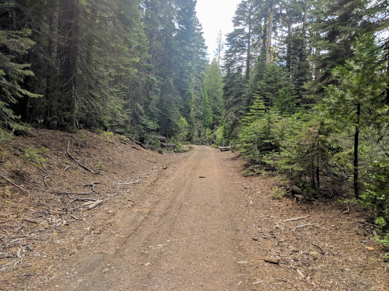 Reno to Mendocino 2018